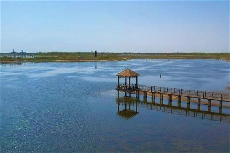 外國友人看勝利 | 二氧化碳“變身”記